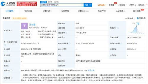 科大訊飛深耕軟件服務，安徽成立新公司加速業務版圖擴張